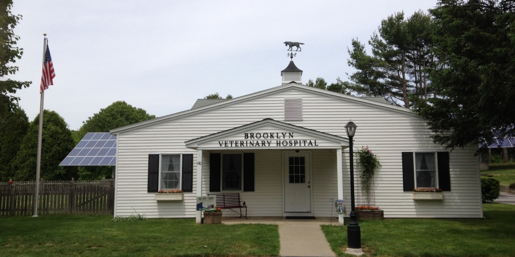 The Practice of Brooklyn Veterinary Hospital, serving Northeast CT